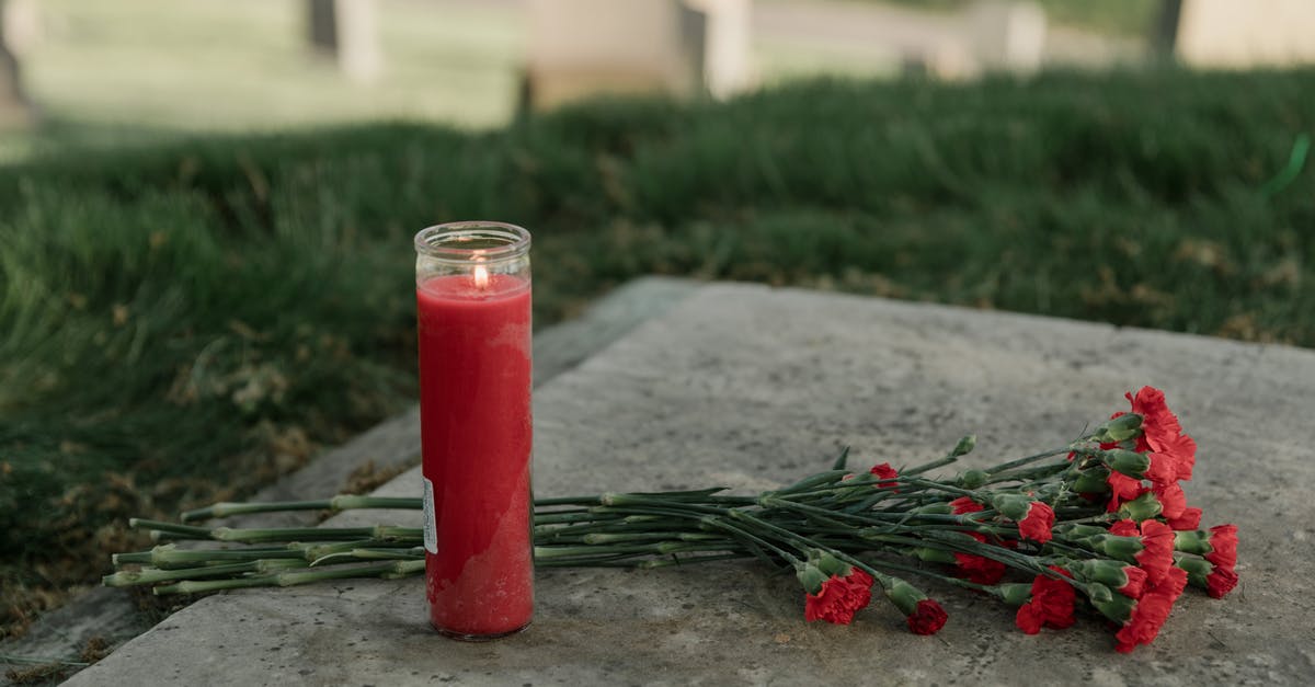 Why did she bring flowers to the tomb? - Red Flowers And Candle On A Tomb 