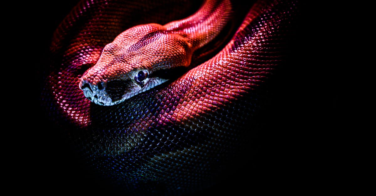 Why did Snake Plissken do this? - Photo Of A Red Snake