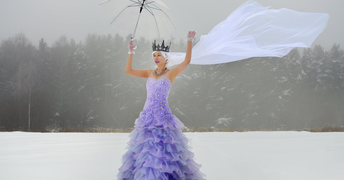 Why did the Fairy Queen have to die for a poor deal? - Full length young lady in purple dress and white waving veil with crown and raised hands with transparent umbrella with gloves on snowy field in winter day near forest