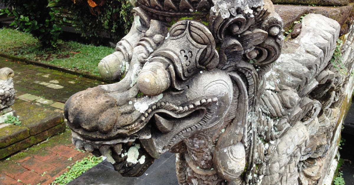 Why did the mother's dragon attack the village? - Gray Concrete Statue Near Green Plants