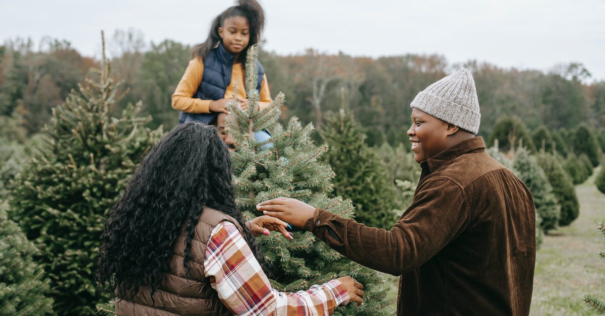 Why did the Observers choose the year 2015? - African American family standing in middle of green farm with spruces and choosing Christmas tree