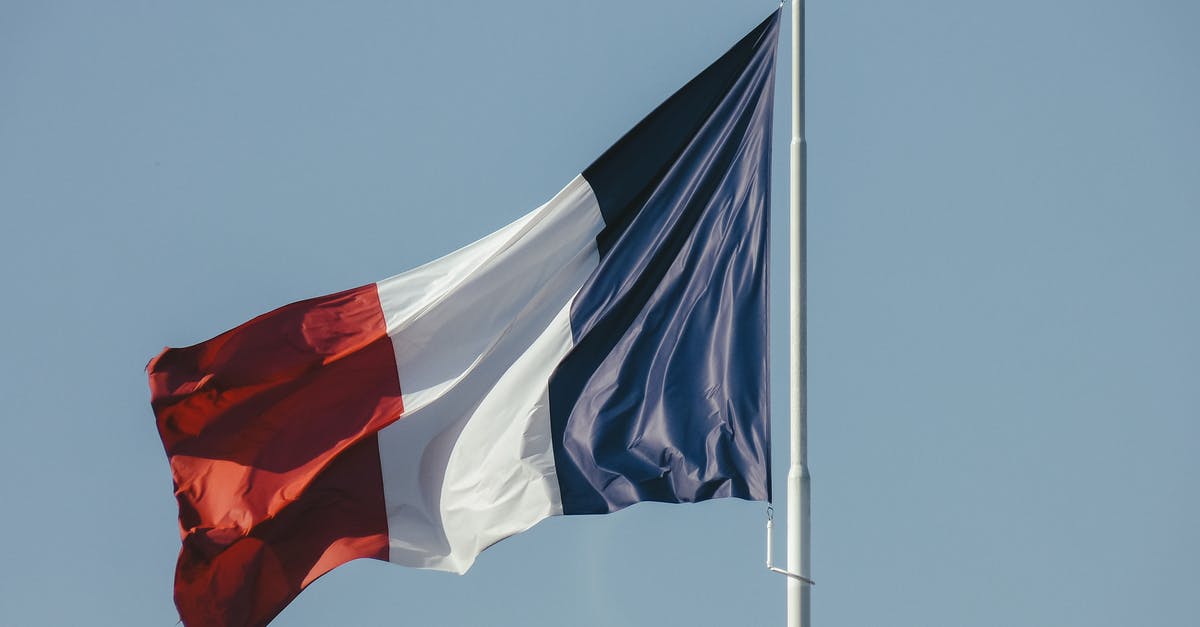 Why did Wendy's house hang the French flag? - French flag against blue sky