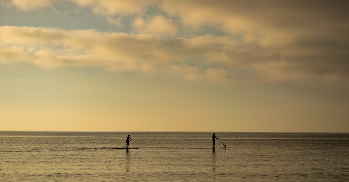 Why do Hobbs and Toretto stand side by side during the final scene? - Side view of silhouettes of unrecognizable male athletes practicing stand up paddle boarding on sea water under cloudy sky in evening