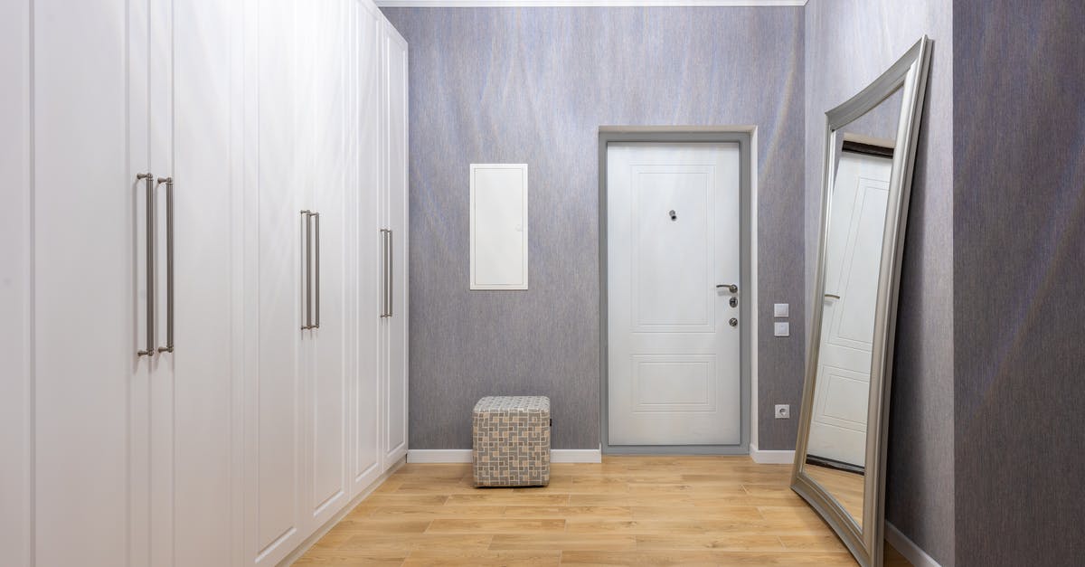 Why do Ray Barone's parents come in the back door half the time? - Modern hall interior with entrance door between closet and rectangular shaped mirror on wooden floor at home