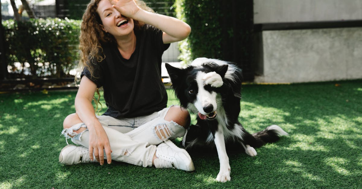 Why do some Minions have one eye, and some have two? - Cheerful female covering eye while sitting with crossed legs against purebred dog and looking at camera on meadow in sunlight