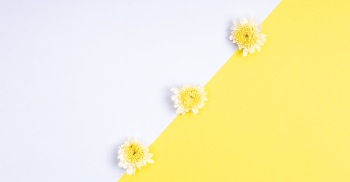 Why do these three lines appear at the end of closing credits? - Flowers on a Yellow and White Surface  