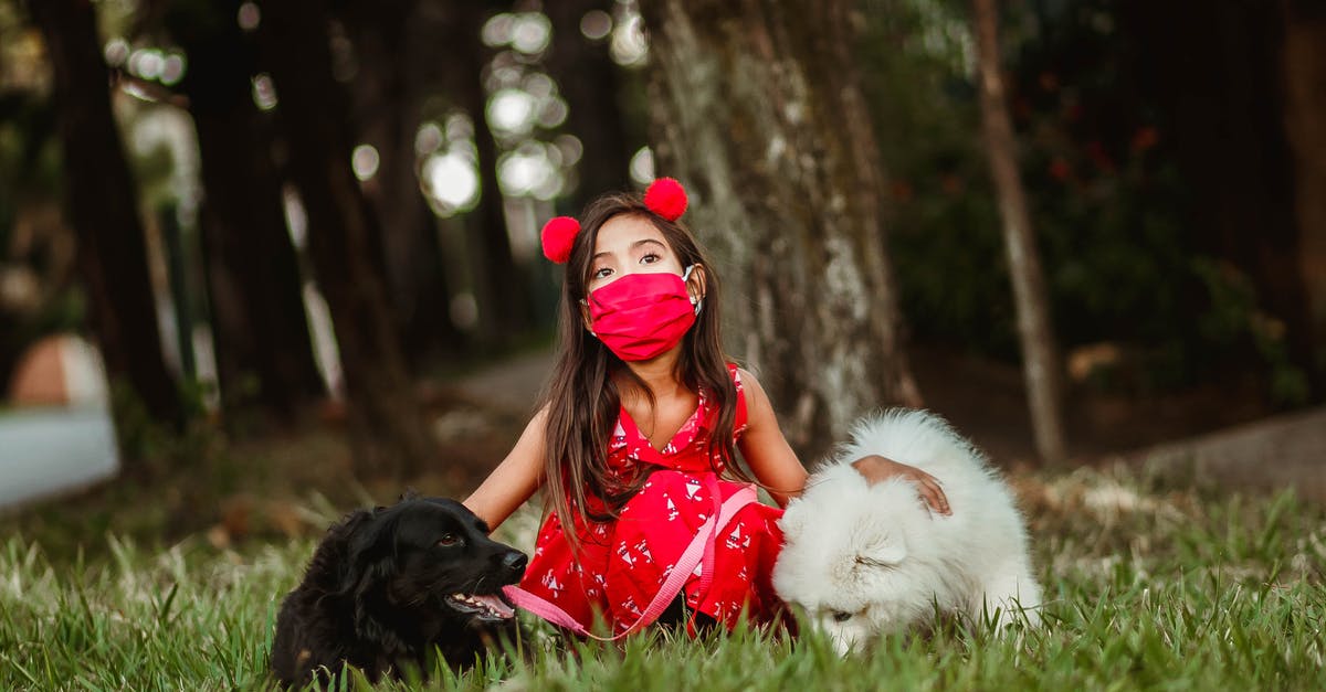 Why does Bane protect the girl? - Calm girl wearing protective mask sitting on grass in park and hugging friendly domestic dogs during COVID 19 epidemic
