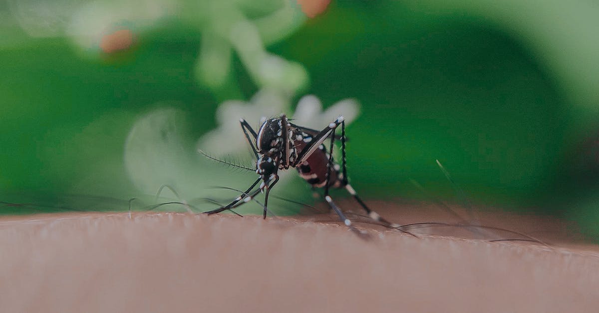 Why does blood seep from the eye of Le Chiffre in Casino Royale? - Closeup of spotted mosquito with thin legs and proboscis sucking blood on skin with hairs of faceless person