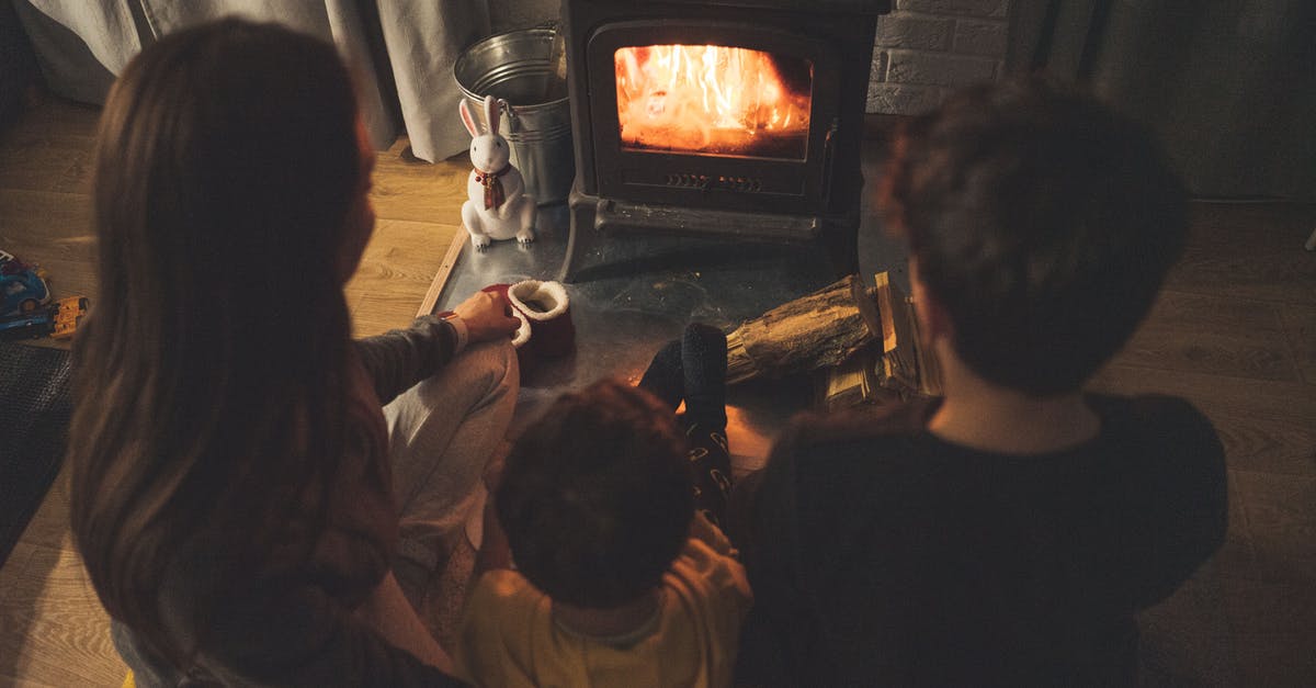 Why does Gabrielle Delacour arrive at Hogwarts with her sister in the Goblet of Fire movie? - From above back view of anonymous children sitting near fireplace with burning firewood in cozy living room in evening time