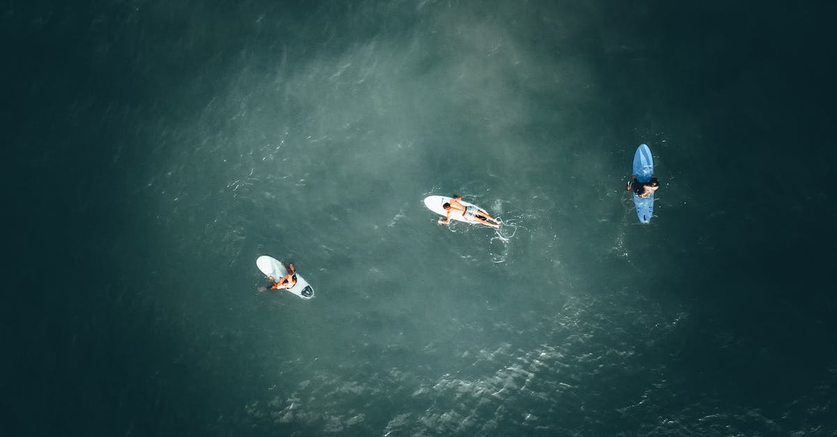 Why does Hans still lie to Elsa before trying to kill her? - From above shot of surfers floating on surfs in calm water of ocean in sunlight