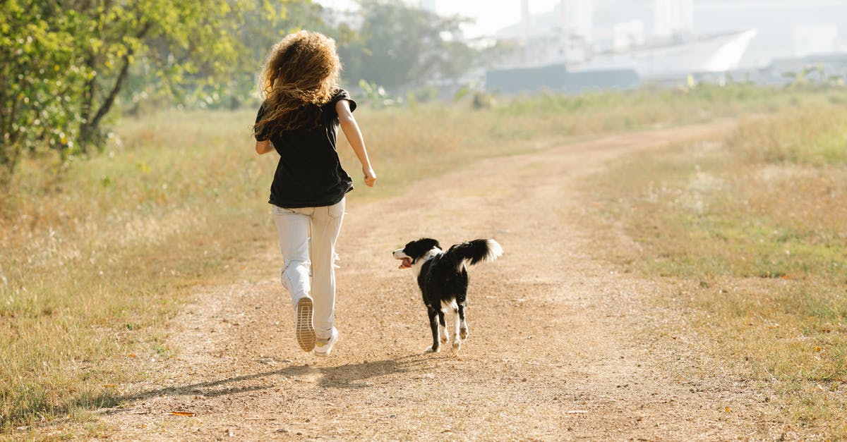 Why does Hollywood rarely hire well-known voice-actors/actresses instead of well-known actors/actresses to voice-act animations? - Unrecognizable sportswoman running with Border Collie on path in park
