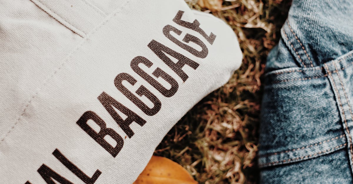 Why does Indiana Jones not fall when he grabs the wrong letters in The Last Crusade? - Shopping Bag with Printed 'Baggage' Text Beside Denim Jacket on Grass