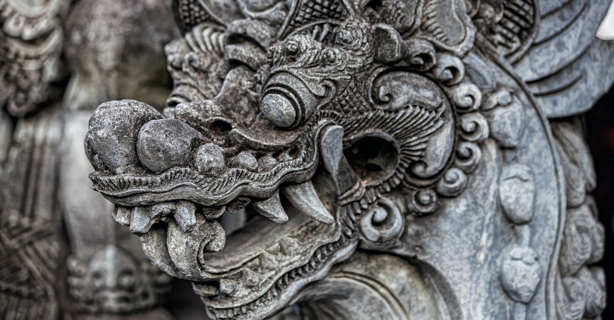 Why does Son Goku at Dragon Ball not ask the Dragon to be immortal? - Grey and Brown Dragon Embossed Decor