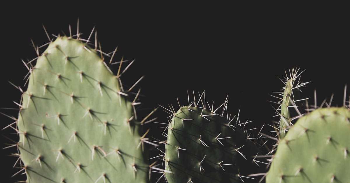 Why does Spike claim to have gotten his soul back by his own wish, when he didn't? - Close-up Photo of Three Green Cactus Plants