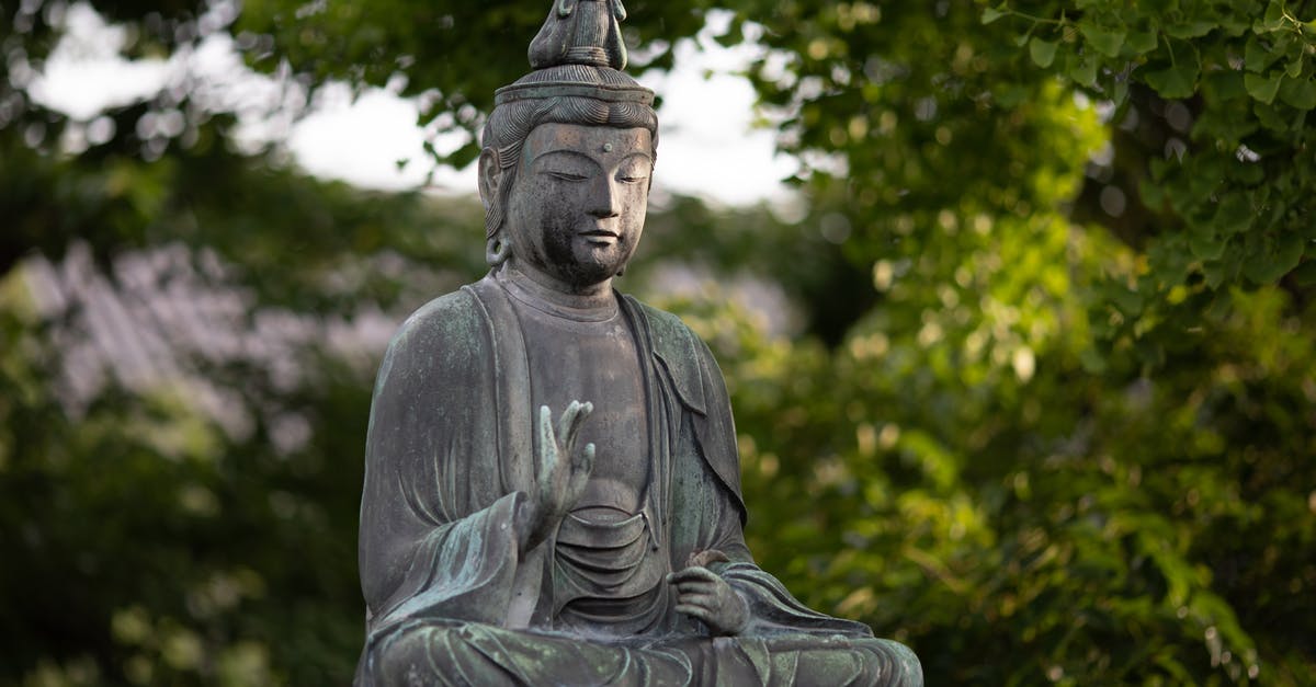 Why does the No Face god behave in such a way? - Buddha Statue Near Trees
