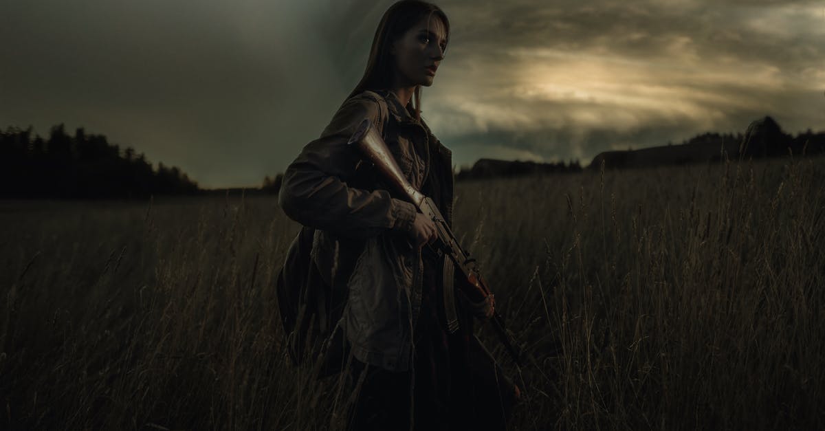 Why doesn't Alice ever use the rifle we see her holding in the movie poster? - Woman in Black Hoodie Standing on Grass Field