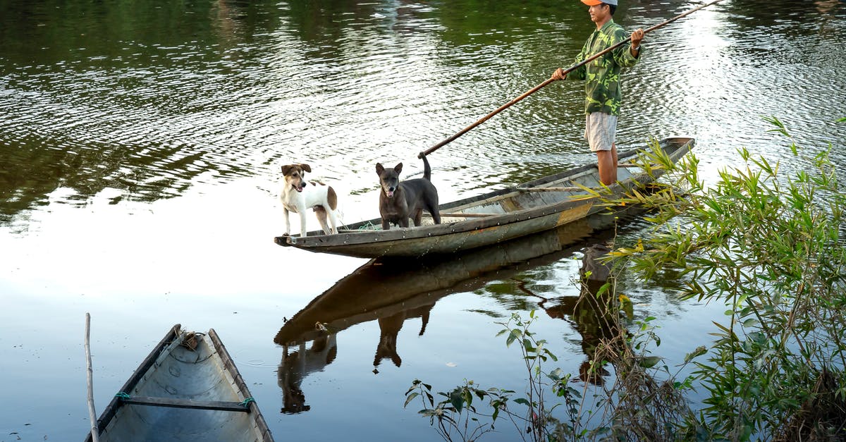 Why don't Marvel movies stick to canon? - Asian man with purebred dogs in boat on river