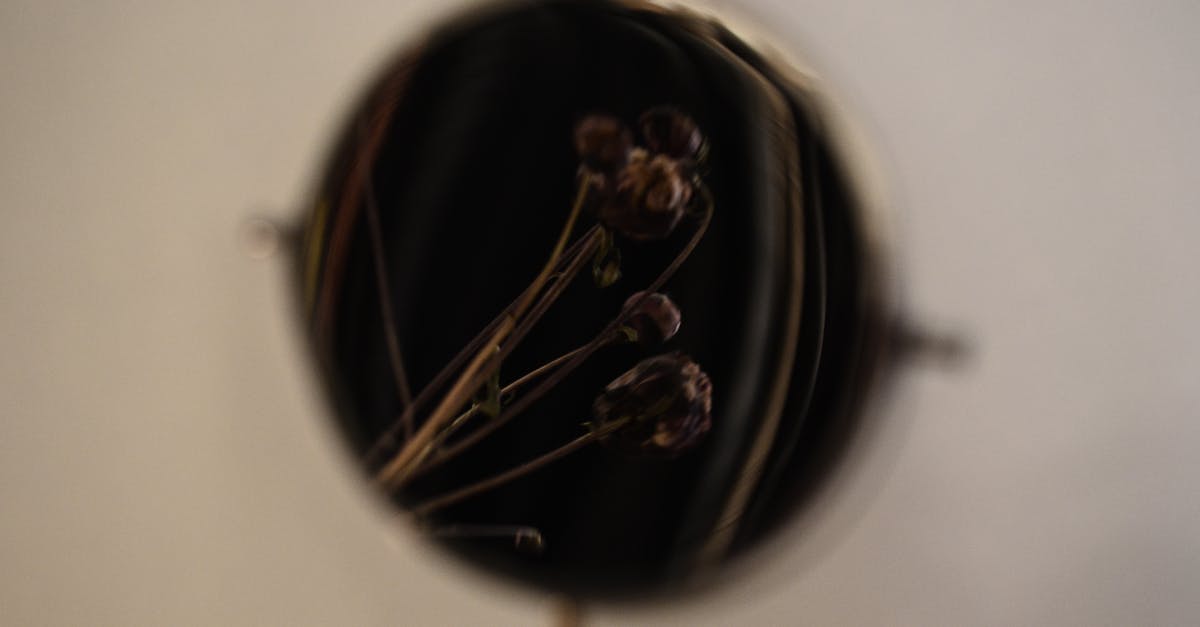 Why exactly did Walt leave Gray Matter? - Thin dried twigs and buds of plant reflecting in mirror against gray background