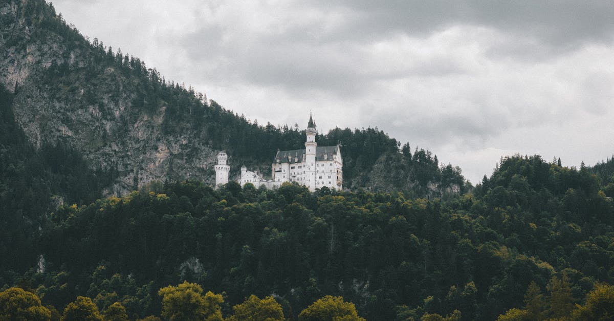 Why is Belle the only Disney Princess who hasn’t been made Queen in the remakes? [closed] - Free stock photo of architecture, castle, church