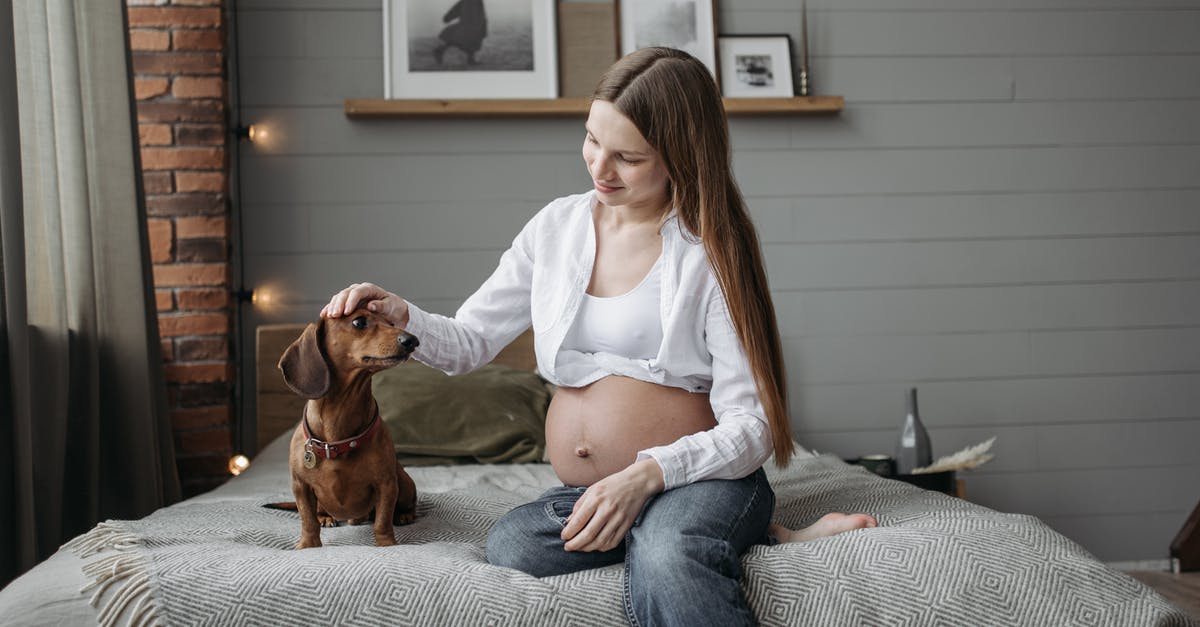Why is Brian both a dog and a human? - Free stock photo of activities for pregnant women, adult, aerobics