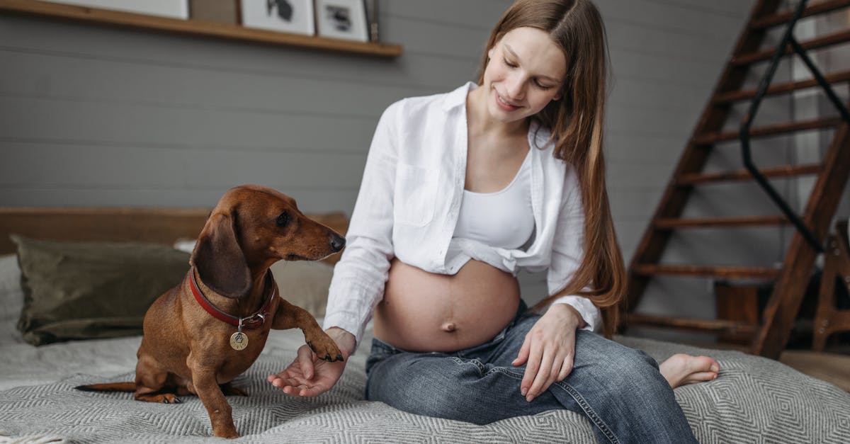 Why is Brian both a dog and a human? - Free stock photo of activities for pregnant women, adult, aerobics