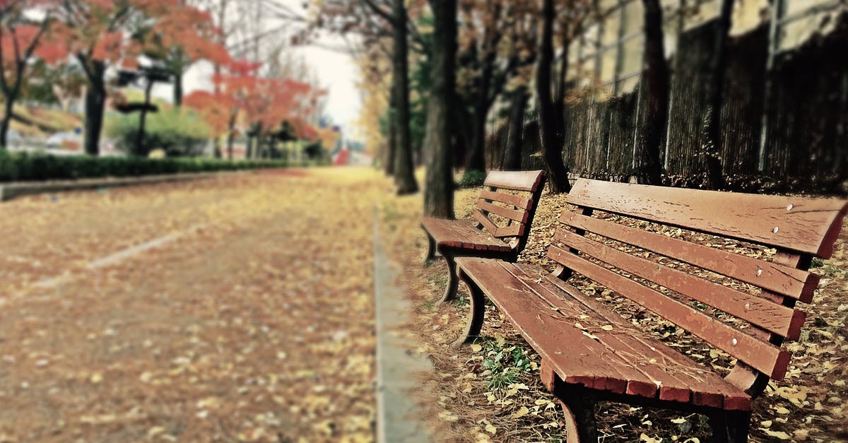 Why is Bumi silent in Season 4? - Brown Wooden Bench With Brown Dried Leaves