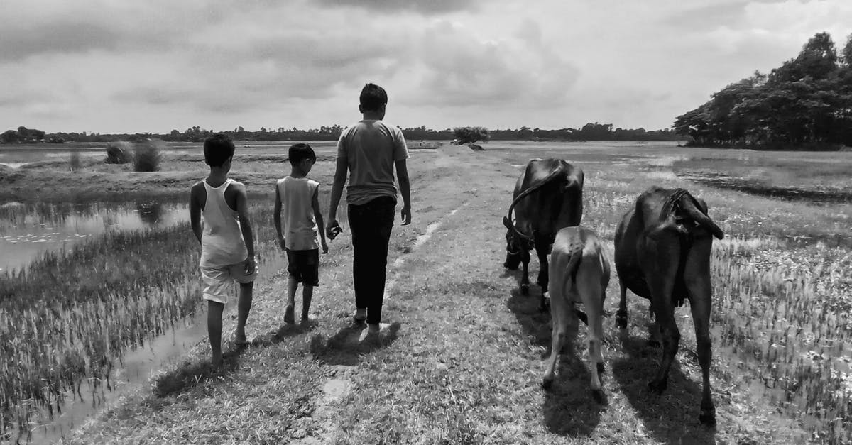 Why is Four Moons titled Four Moons and nothing else? - Grayscale Photo of People Walking on Grass Field With Horses