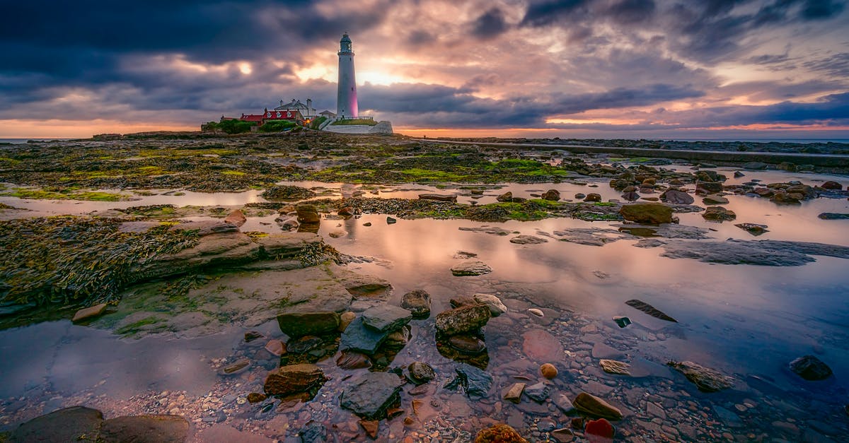 Why is Harold and Maude mentioned in There's Something About Mary? - Landscape Photography of White Lighthouse during Cloudy Daytime