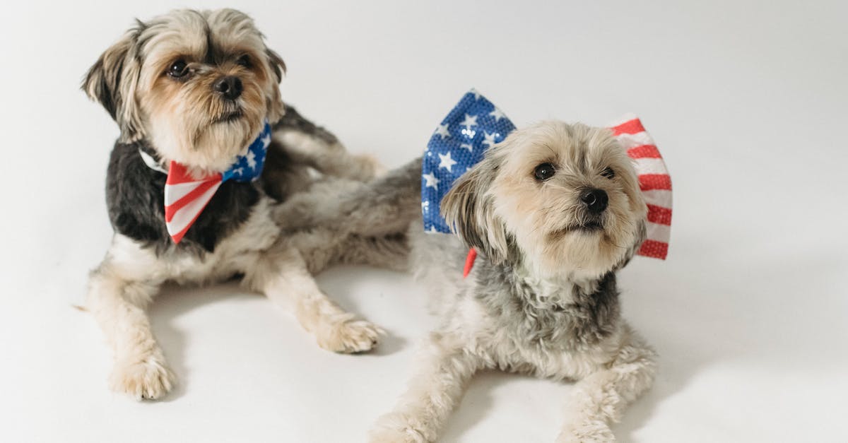 Why is Independence Day: Resurgence not released on July 4th? - Cute purebred dogs with accessories with American flag