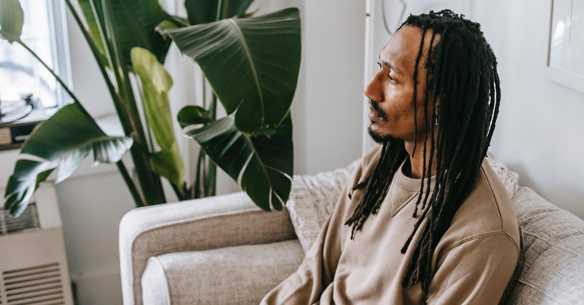 Why is it a problem for Freddie if the guys from Munich did what he wanted? - From above side view of pensive bearded African American male with dreadlocks sitting on sofa near green plant in cozy therapist office