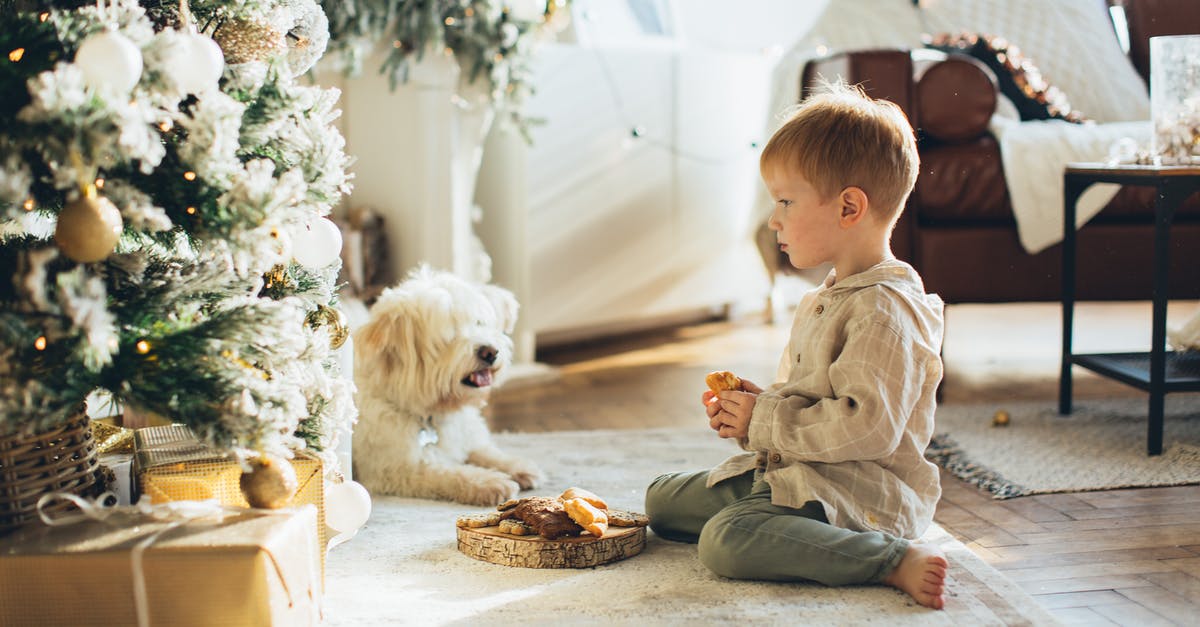 Why is Mickey's dog named Pluto? - Child and Pet Dog Sitting Beside Christmas Tree