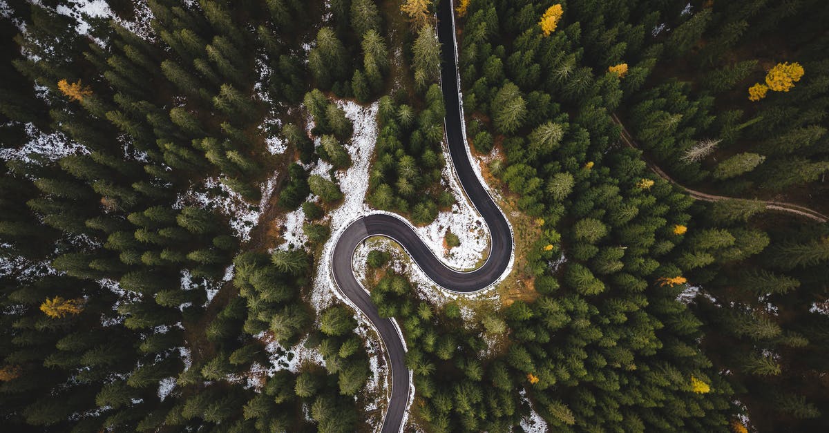 Why is "Airplane!" called "Flying High!" in some countries? - Bird's Eye View Of Roadway Surrounded By Trees