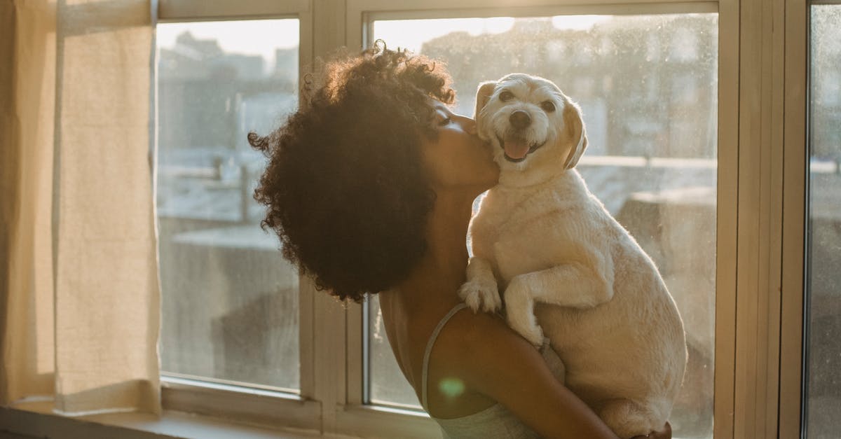 Why is sunlight not affecting the vampire here? - Black woman kissing cute purebred dog