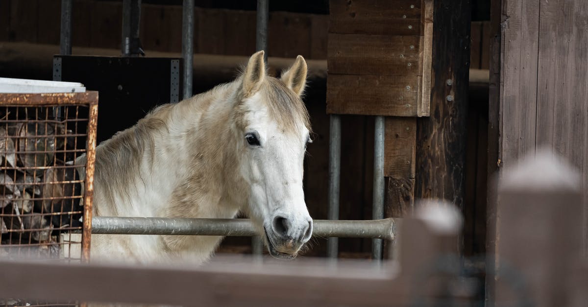 Why is the breeding aspect important? - White Horse in Brown Wooden Cage