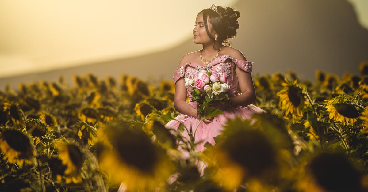 Why is the swordfight in The Princess Bride so good? - Young ethnic woman in romantic dress among sunflowers