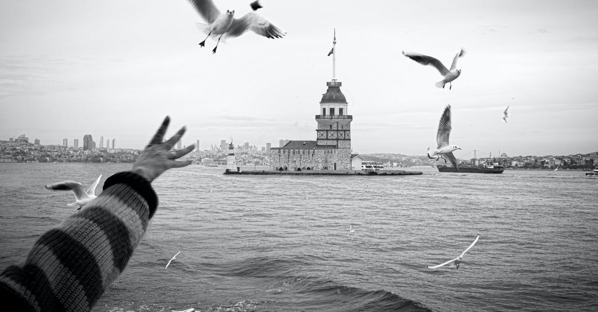 Why is there a "B" in Sabrina's hand? - Grayscale Photo of Birds Flying over the Sea