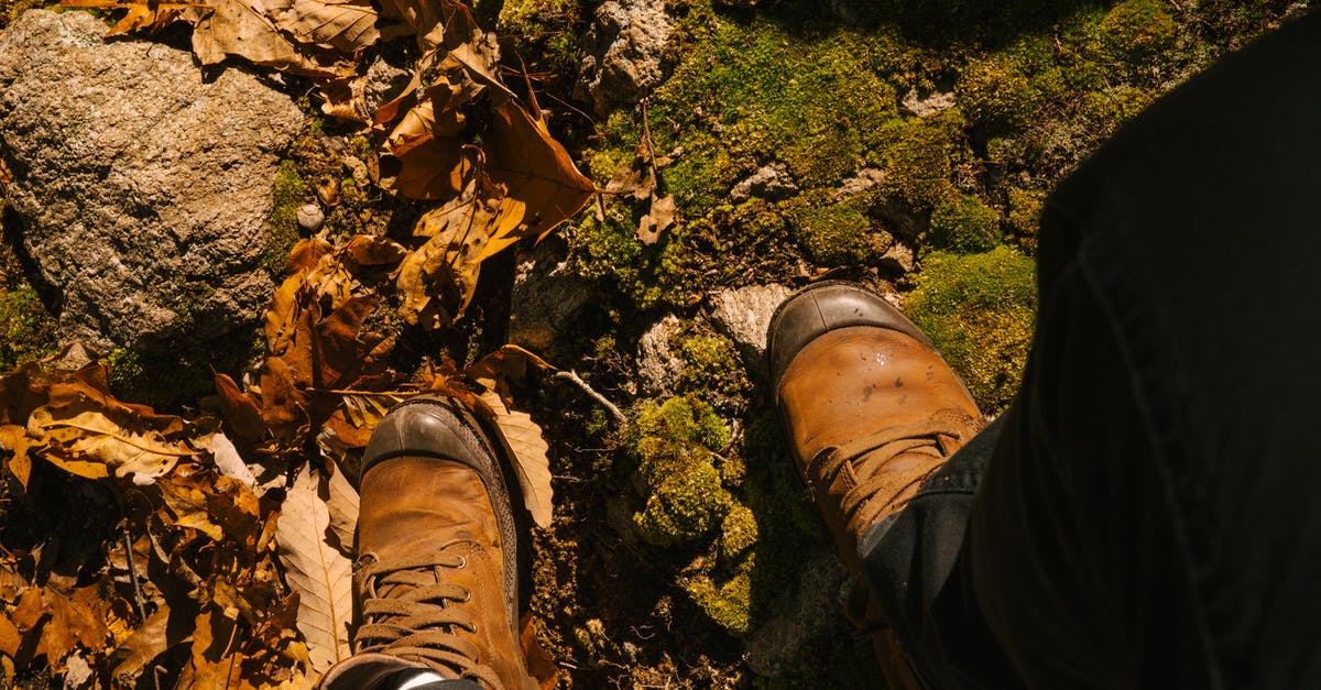 Why is travelling through the Stargate from Earth such a bumpy ride? - Overhead view of crop anonymous traveler in leather shoes standing on dry terrain with autumn foliage