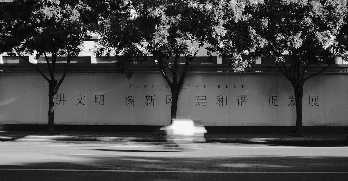 Why is Yasujirō Ozu regarded as the most "Japanese" filmmaker? - Grayscale Photo of Trees Near Road