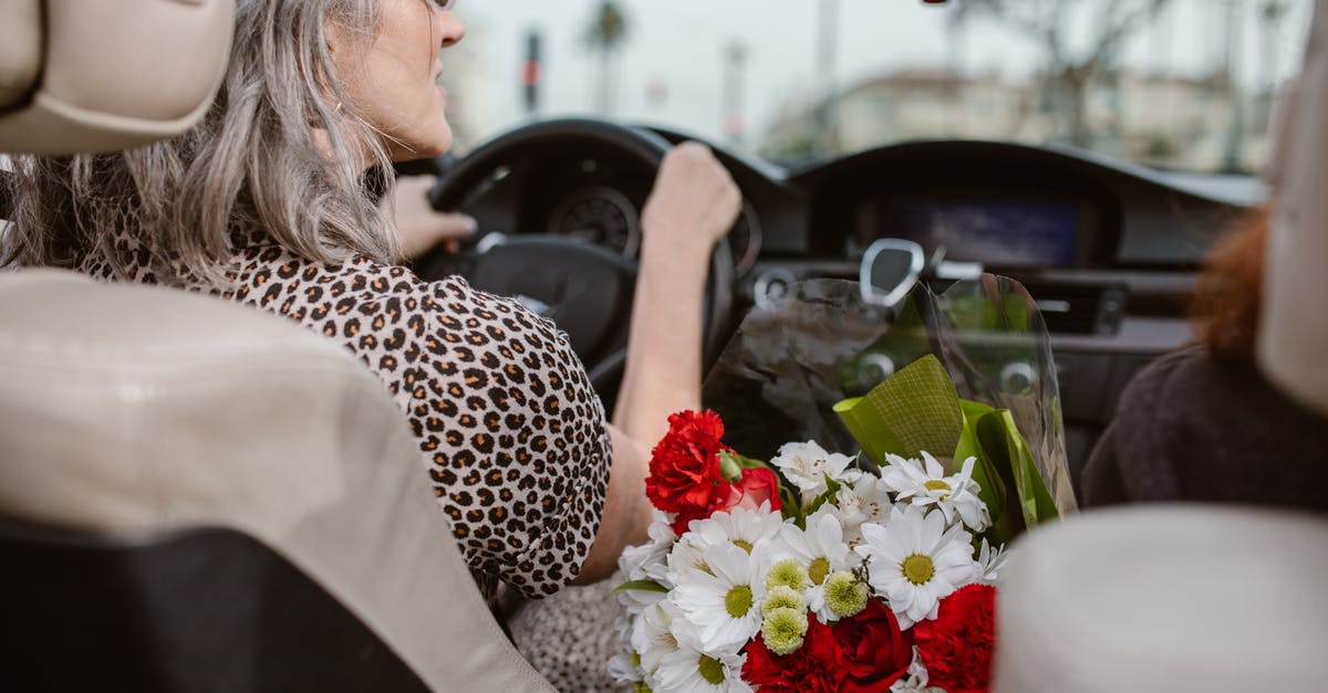 Why was Alex Jones driving the campervan? - Free stock photo of bouquet, bride, car