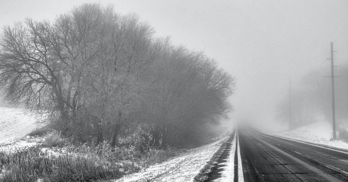 Why was Amara's fog white? - Grayscale Photo of Road Between Bare Trees