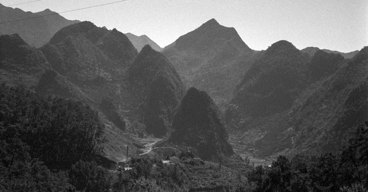 Why was Amara's fog white? - Grayscale Photo of Mountains and Trees