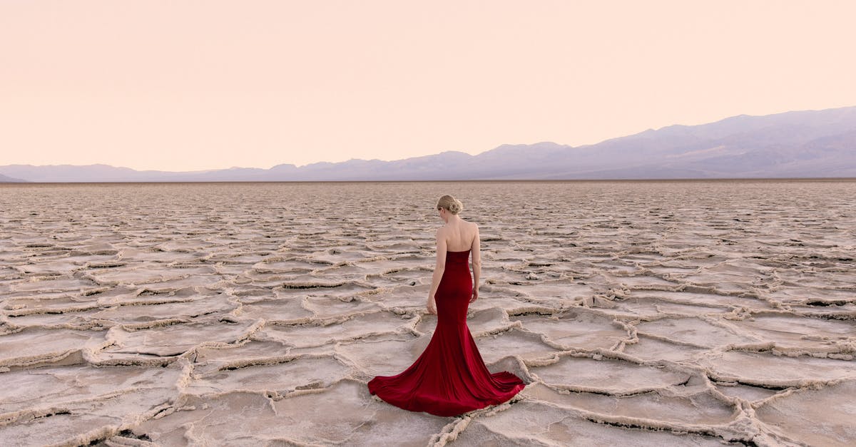 Why was Cussley only depicted from behind? - Woman in a Red Dress in a Desert