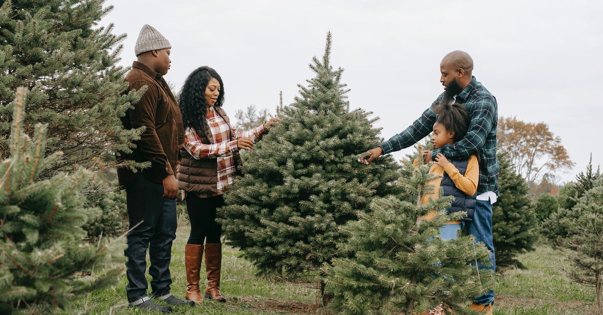 Why was Flor displeased with the decision of her daughter attending the private school? - Side view full body of African American family members standing around tree and touching branches while choosing Christmas tree