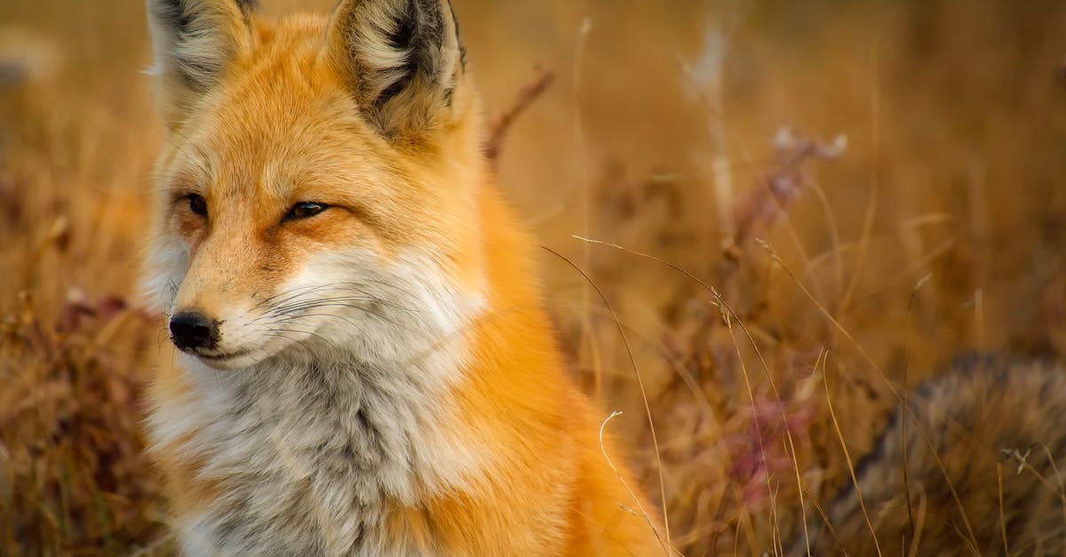 Why was Lucius Fox fired? - Close-up of Fox on Grass