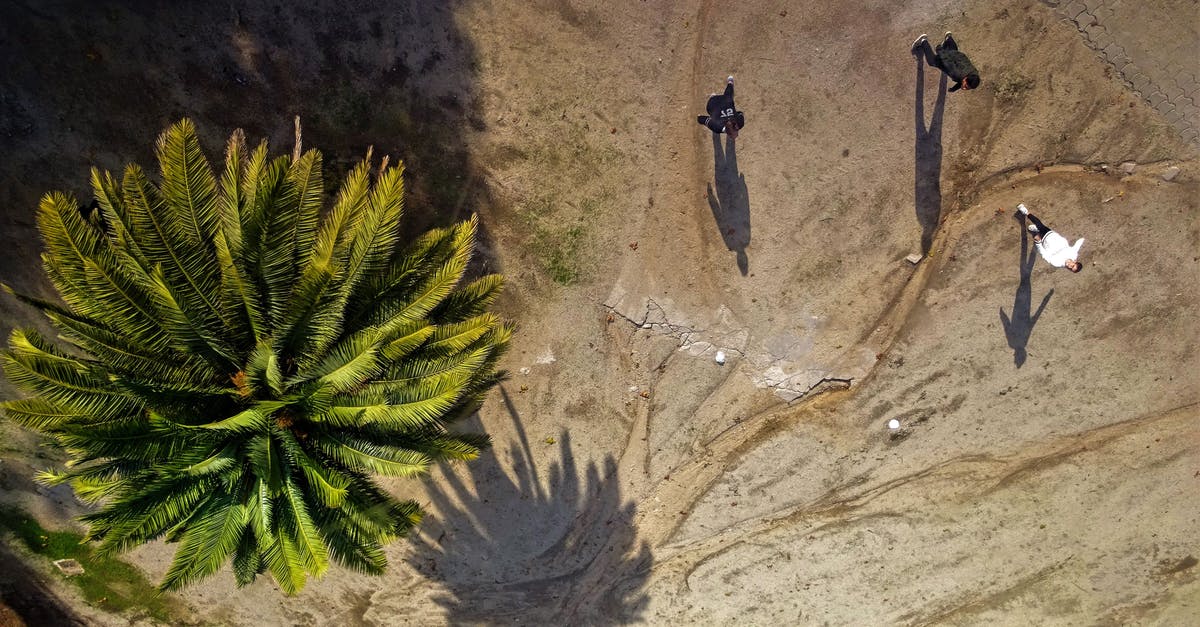 Why was Merlin's action with the land mine needed? - Aerial Photography of Green Palm Tree