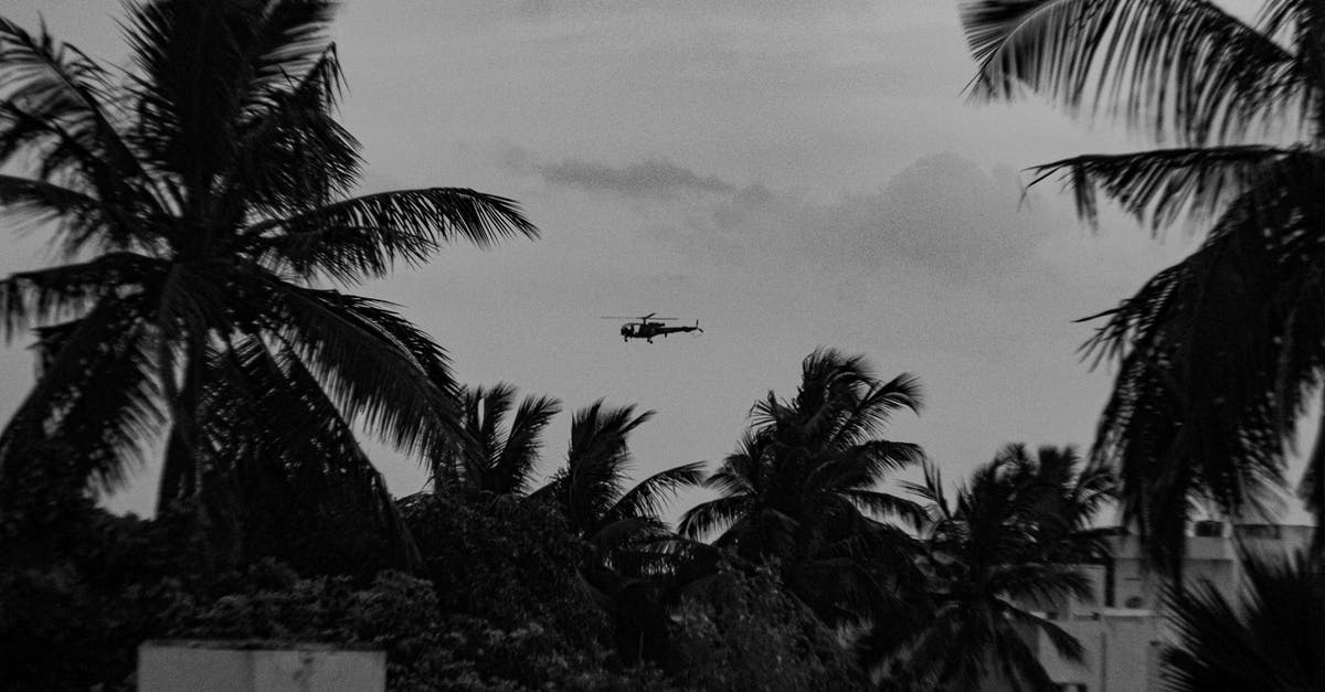 Why was the helicopter searching for survivors? - Grayscale Photo of Palm Tree