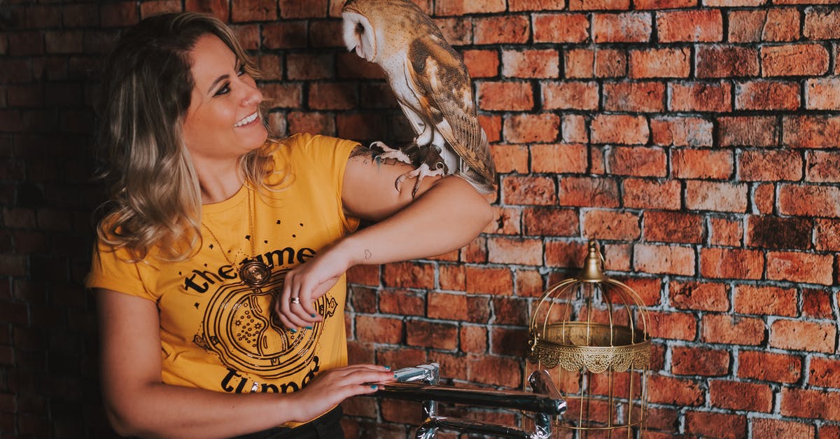 Why was Thor in a cage and how did he get there? - Woman Holding an Owl on Her Arm 