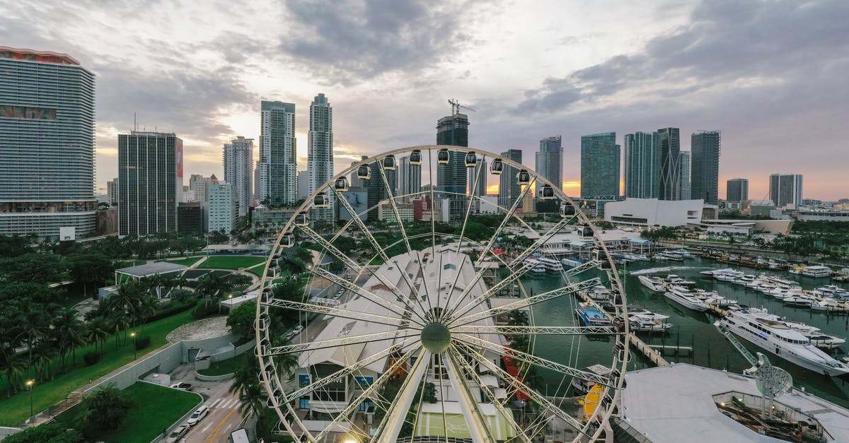 Why were the Miami Dolphins chosen to be portrayed? - Ferris Wheel Near City Buildings