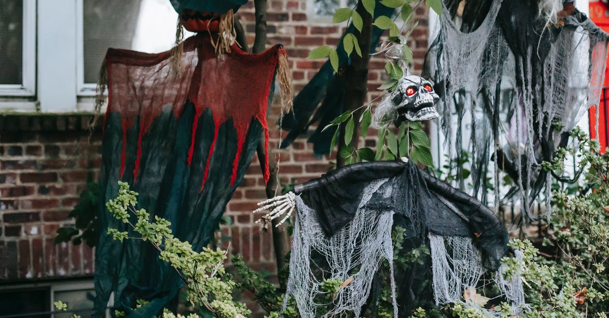Why will Dorothy miss Scarecrow the most of all? - Spooky skeleton and witches on wooden sticks near entrance of brick house on Halloween