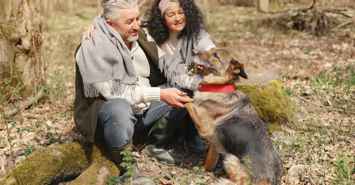 Why would Mike give the German engineers his real name? - Happy elderly couple strolling in forest with dog